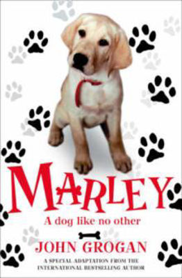 Picture of Marley