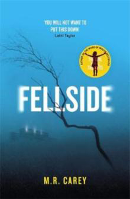 Picture of Fellside