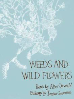 Picture of Weeds and Wild Flowers