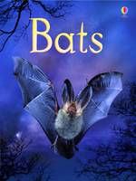 Picture of Bats