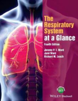 Picture of The Respiratory System at a Glance