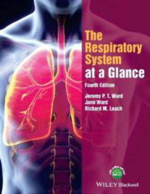 Picture of The Respiratory System at a Glance