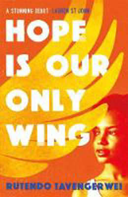 Picture of Hope is our Only Wing