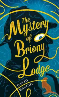 Picture of MYSTERY OF BRIONY LODGE