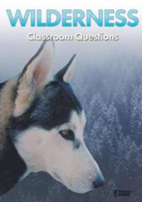 Picture of Wilderness Classroom Questions