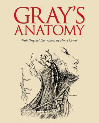 Picture of Gray's Anatomy