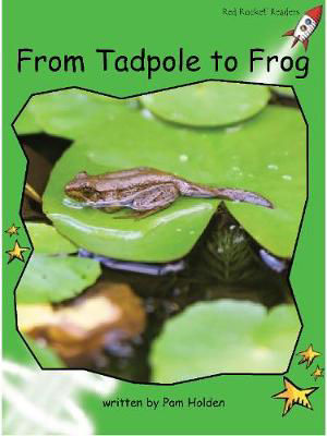 Picture of FROM TAPPOLE TO FROG