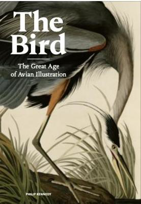 Picture of Bird  The: The Great Age of Avian I