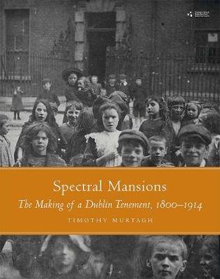 Picture of Spectral Mansions: Dublin Tenament