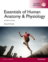 Picture of Essentials of Human Anatomy & Physiology