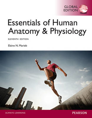 Picture of Essentials of Human Anatomy & Physiology