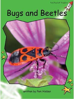 Picture of BUGS & BEETLES