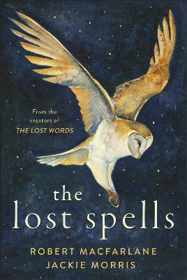 Picture of The Lost Spells