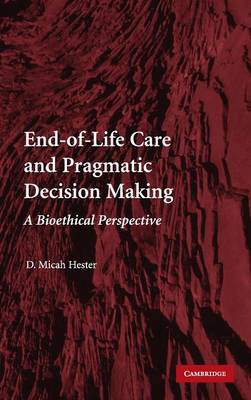 Picture of End-of-Life Care and Pragmatic Decision Making: A Bioethical Perspective