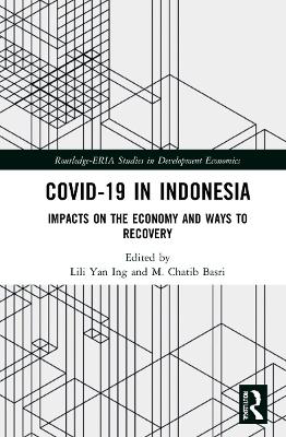 Picture of COVID-19 in Indonesia: Impacts on the Economy and Ways to Recovery