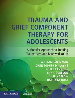 Picture of Trauma and Grief Component Therapy for Adolescents: A Modular Approach to Treating Traumatized and Bereaved Youth