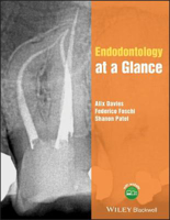 Picture of Endodontology at a Glance