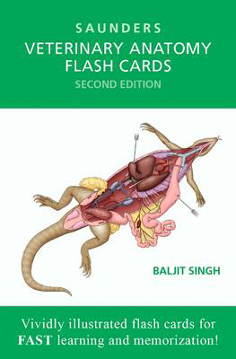 Picture of Veterinary Anatomy Flash Cards