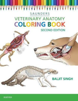 Picture of Veterinary Anatomy Coloring Book