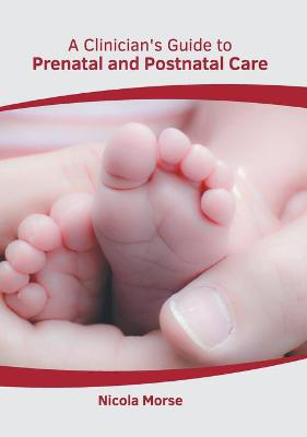 Picture of A Clinician's Guide to Prenatal and Postnatal Care