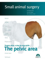 Picture of The pelvicaArea. Small animal surgery