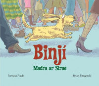 Picture of Binji - Madra ar Strae PB: 2022