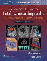Picture of A Practical Guide to Fetal Echocardiography: Normal and Abnormal Hearts