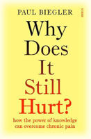 Picture of Why Does It Still Hurt?: how the po