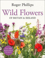 Picture of Wild Flowers: of Britain and Irelan