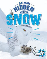 Picture of Animals Hidden in the Snow