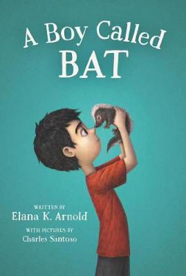 Picture of A Boy Called Bat