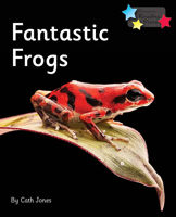 Picture of Fantastic Frogs: Phonics Phase 5 6-pack