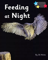 Picture of Feeding at Night: Phonics Phase 3 6-pack