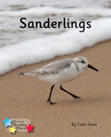 Picture of Sanderlings: Phonics Phase 4