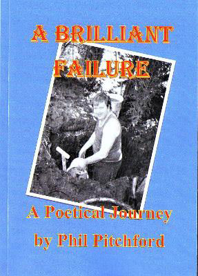 Picture of A Brilliant Failure: A Poetical Journey