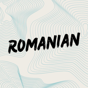 Picture for category Romanian/English