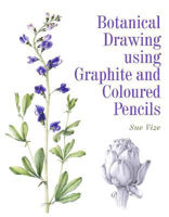 Picture of Botanical Drawing using Graphite and Coloured Pencils