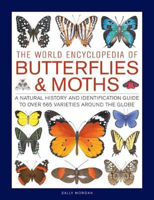 Picture of Butterflies & Moths The World Ency