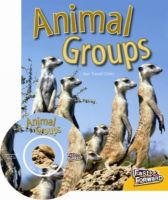 Picture of Animal Groups