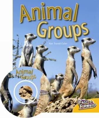 Picture of Animal Groups