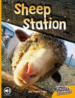 Picture of Sheep Station