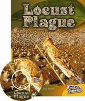 Picture of Locust Plague