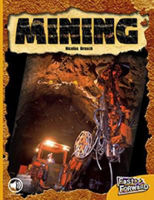 Picture of Mining