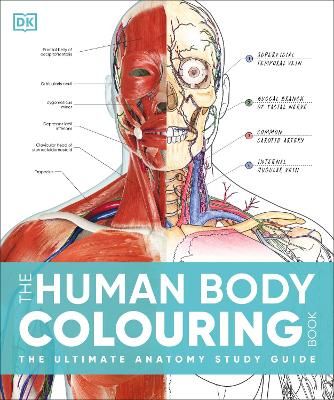 Picture of Human Body Colouring Book